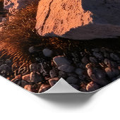 Leave Nothing But Footprints ポスター (角)