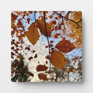 Leaves フォトプラーク