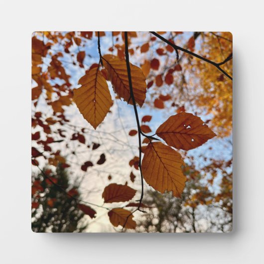 Leaves フォトプラーク (正面)