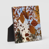 Leaves フォトプラーク (正面)