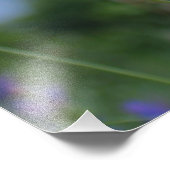 Lebendiges Mohnblumen Poster フォトプリント (角)