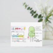 LED 発光ダイオード 回路図 ポストカード (スタンド正面)