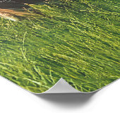 Led Zeppelin 1979 Knebworth Concert Poster Print 1 ポスター (角)