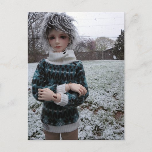 Leekeworld分、アジア球接合された人形 ポストカード (正面)