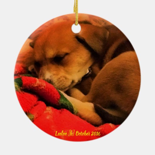 Leeloo睡眠のクリスマスのオーナメント セラミックオーナメント (裏面)