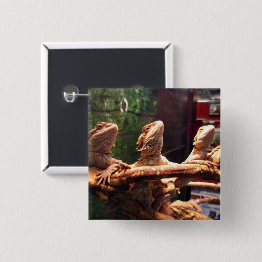 Leezardのトリオ 缶バッジ (正面&裏面)