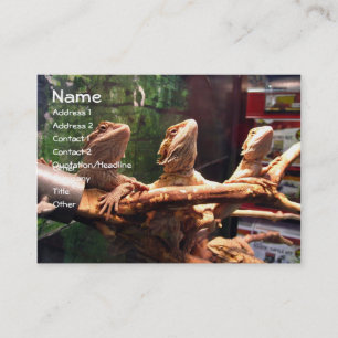 Leezerdsの名刺 名刺