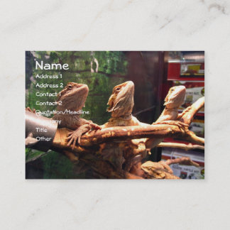 Leezerdsの名刺 名刺