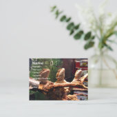 Leezerdsの名刺 名刺 (スタンド正面)