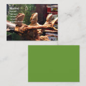 Leezerdsの名刺 名刺 (正面/裏面)