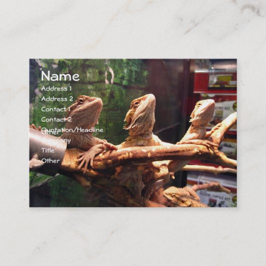 Leezerdsの名刺 名刺 (正面)