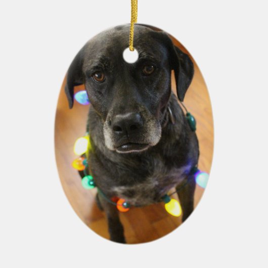 Lefy + ライトHoidayのオーナメント セラミックオーナメント (正面)