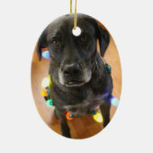 Lefy + ライトHoidayのオーナメント セラミックオーナメント (裏面)