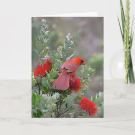 Lehuaの木の赤い北の（鳥）ショウジョウコウカンチョウ カード