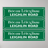 Leighlin Road ポスター (正面)