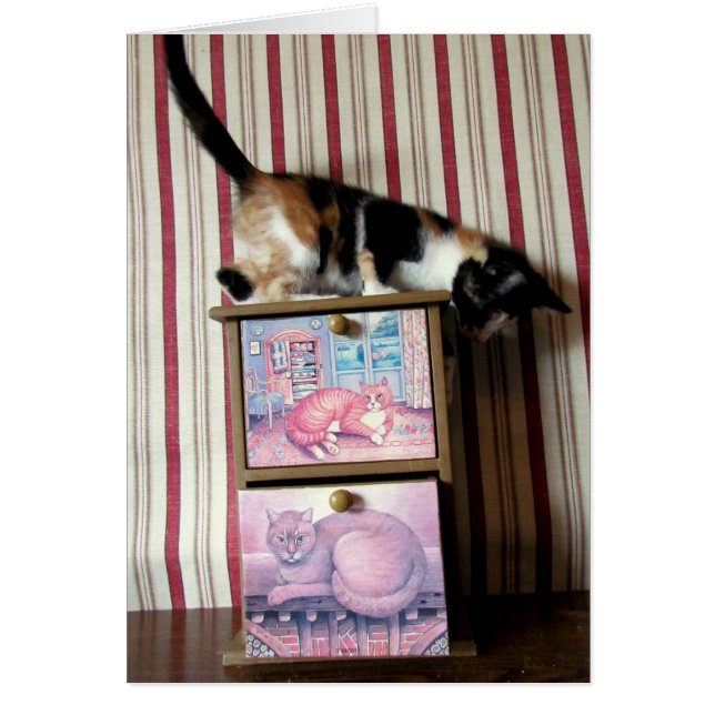 Leilaniのワードローブシリーズ-カード1 (正面)