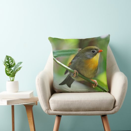 Leiothrix Pekin Robin Songbird クッション (椅子)