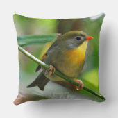 Leiothrix Pekin Robin Songbird クッション (裏面)