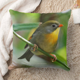 Leiothrix Pekin Robin Songbird クッション
