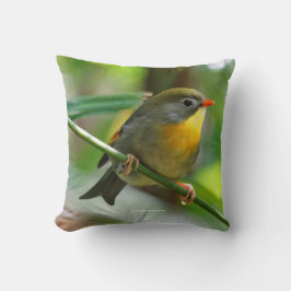 Leiothrix Pekin Robin Songbird クッション