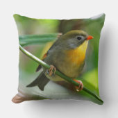 Leiothrix Pekin Robin Songbird クッション (正面)