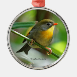 Leiothrix Pekin Robin Songbird メタルオーナメント