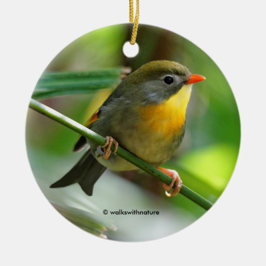 Leiothrix Pekin Robin Songbird メタルオーナメント (正面)