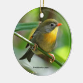 Leiothrix Pekin Robin Songbird メタルオーナメント (左)