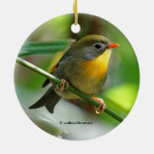 Leiothrix Pekin Robin Songbird メタルオーナメント (裏面)