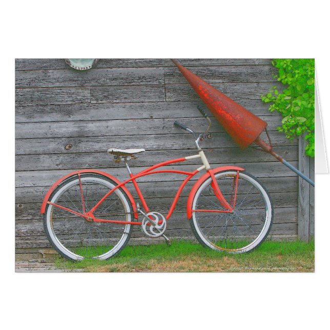 Lelandの自転車 (正面横)