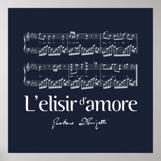 L'elisir d'amore 2 ポスター (正面)