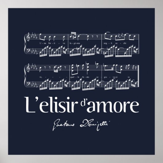 L'elisir d'amore 2 ポスター (正面)