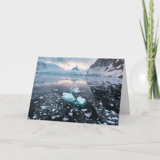 Lemaireチャネルの美しい概観 カード (正面)