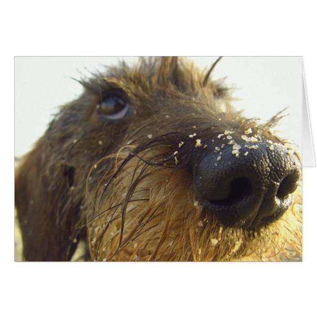 Lemmeはそれのことを.....考えます (正面横)