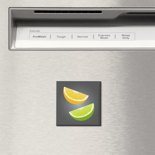 Lemon & Lime Citrus Slice Refrigerator Magnet マグネット (インサイチュ (食洗機))