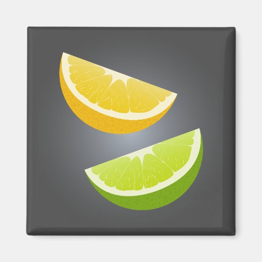 Lemon & Lime Citrus Slice Refrigerator Magnet マグネット (正面)