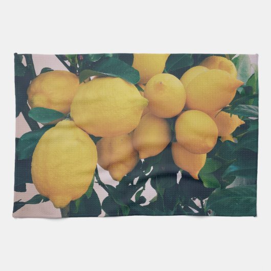  Lemon Tree Kitchen Towel キッチンタオル (横)
