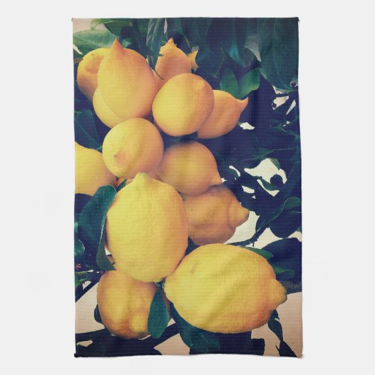  Lemon Tree Patterned Kitchen Towel キッチンタオル (縦)