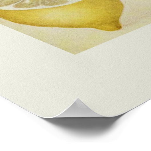 Lemons ポスター (角)