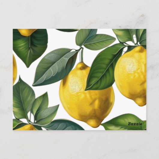 Lemons ポストカード (裏面)