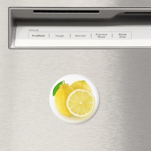Lemons マグネット (インサイチュ (食洗機))
