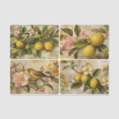 Lemons 薄葉紙 (正面)