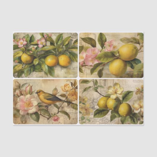 Lemons 薄葉紙 (正面)