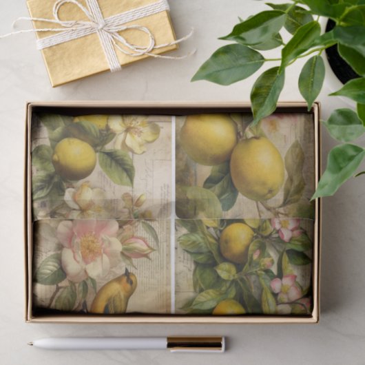 Lemons 薄葉紙 (ギフト)