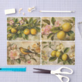 Lemons 薄葉紙 (クラフト)