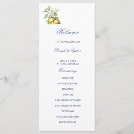 Lemons Double Sided Flat Program プログラム