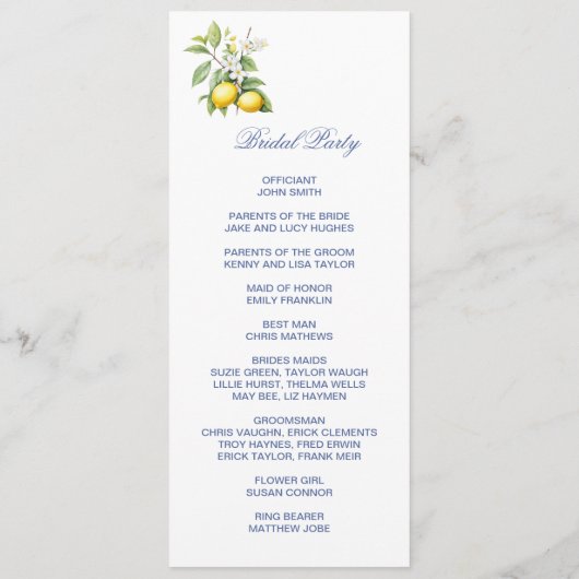 Lemons Double Sided Flat Program プログラム (裏面)