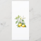 Lemons floral  Menu メニュー (裏面)