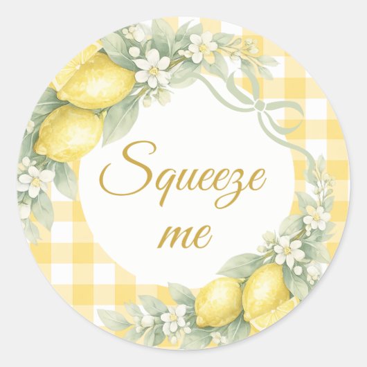 Lemons gingham squeeze me party favor ラウンドシール (正面)