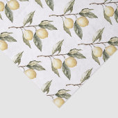Lemons Sicily Birthday 薄葉紙 (詳細)